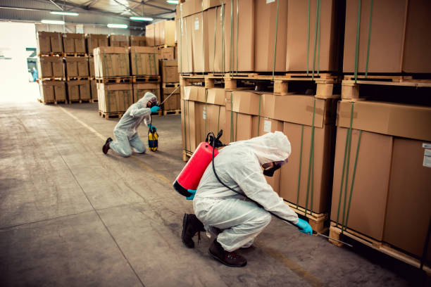Wasp Removal Services in Cliffside Park, NJ