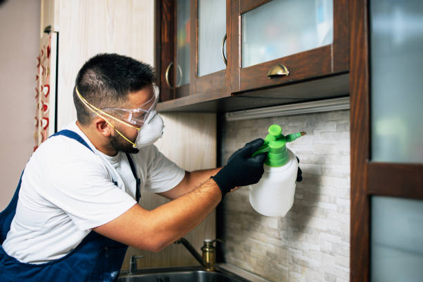 Trusted Cliffside Park, NJ Pest Control Experts
