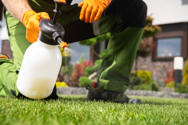 Best Residential Pest Control  in Cliffside Park, NJ
