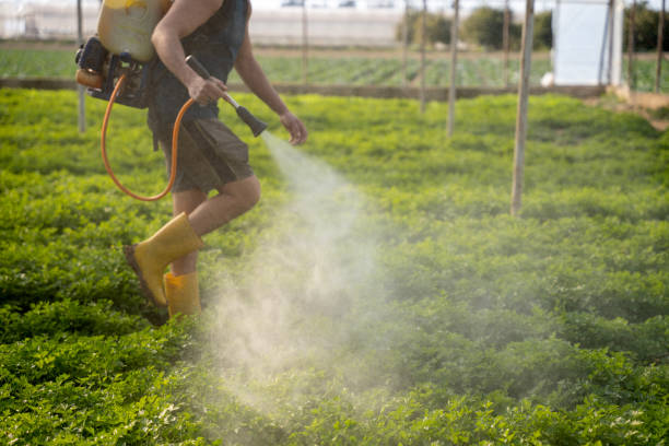 Best Affordable Pest Control Services  in Cliffside Park, NJ