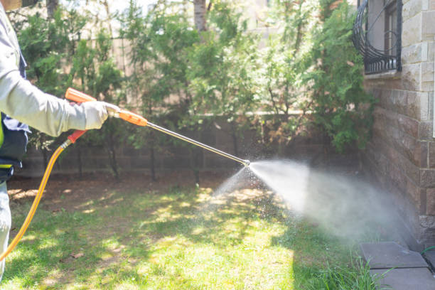 Best Affordable Pest Control Services  in Cliffside Park, NJ