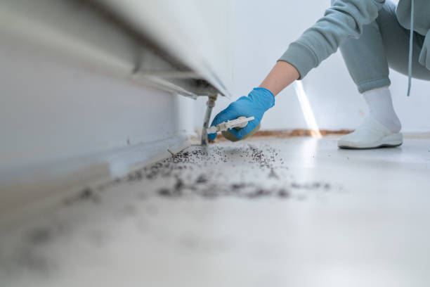 Best Spider Control Near Me  in Cliffside Park, NJ