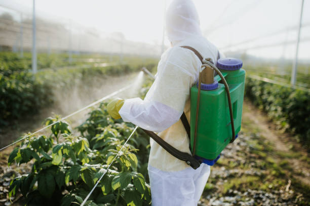 Best Pest Inspection Near Me  in Cliffside Park, NJ